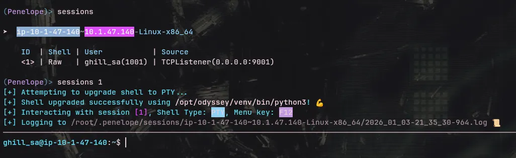 Reverse Shell Success